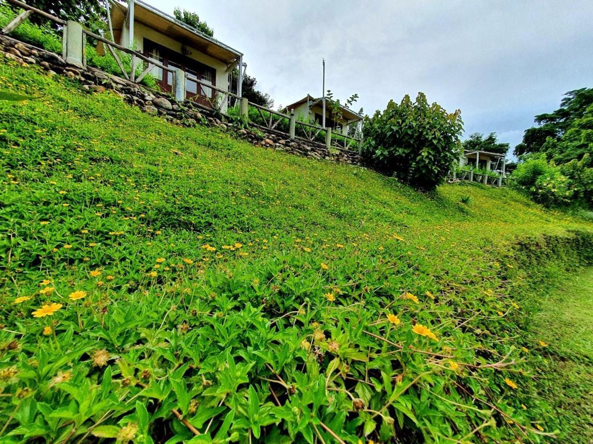 Mari Pai Resort Bagian luar foto