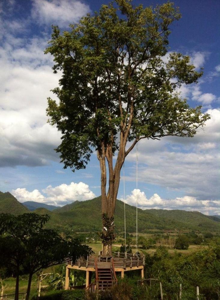 Mari Pai Resort Bagian luar foto